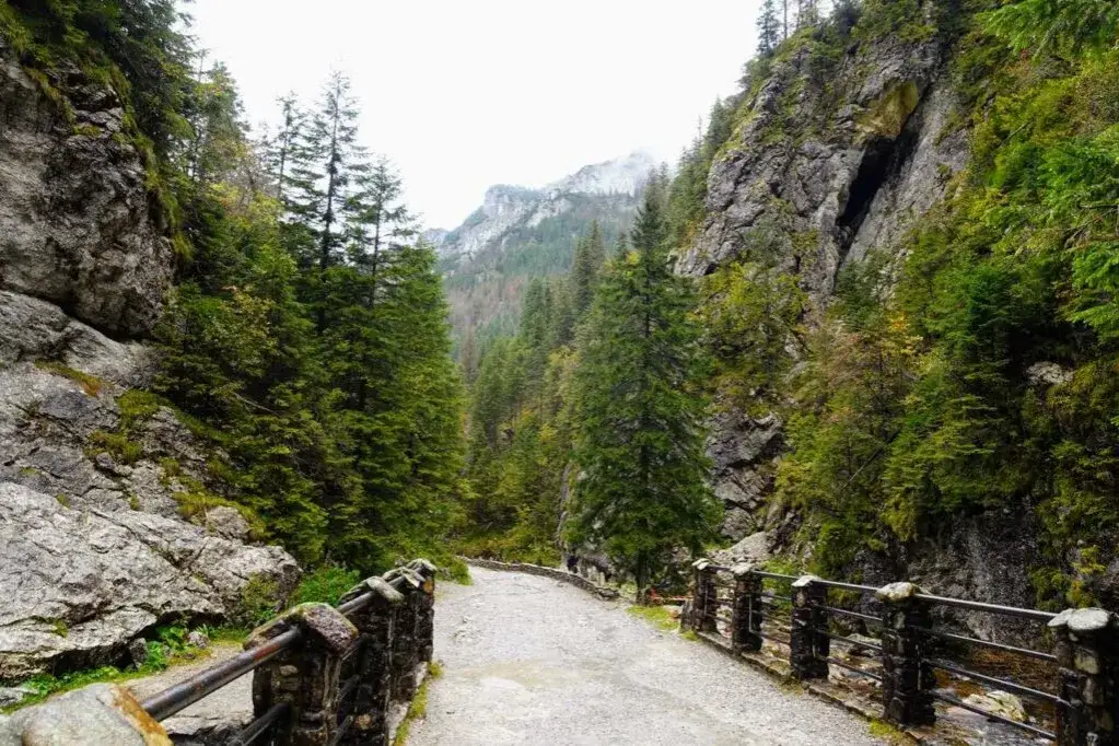 Łatwe szlaki górskie dla początkujących? Oto 5 tras bez stresu