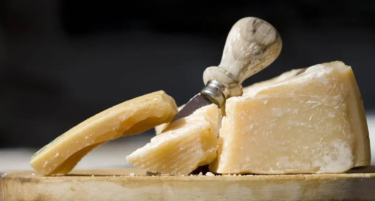 Ser halloumi: kalorie, białko i dieta jeść czy unikać?