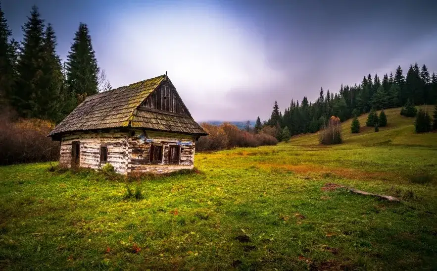 Ile kosztuje przeniesienie domu z bali? Sprawdź ukryte koszty!