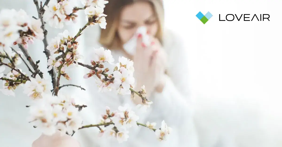 Który Dyson jest najlepszy? Poznaj modele, które naprawdę działają