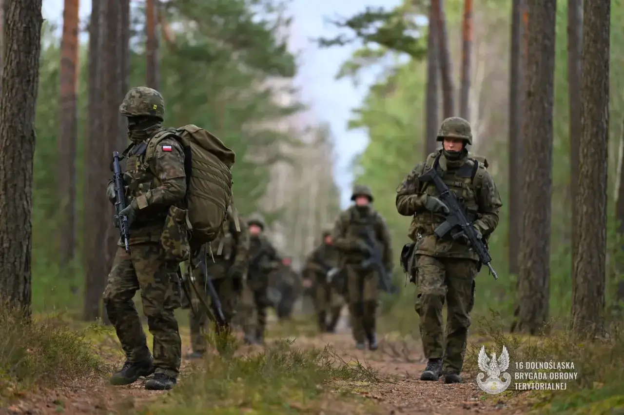 Z WOT do wojska zawodowego: Twój przewodnik po karierze w armii