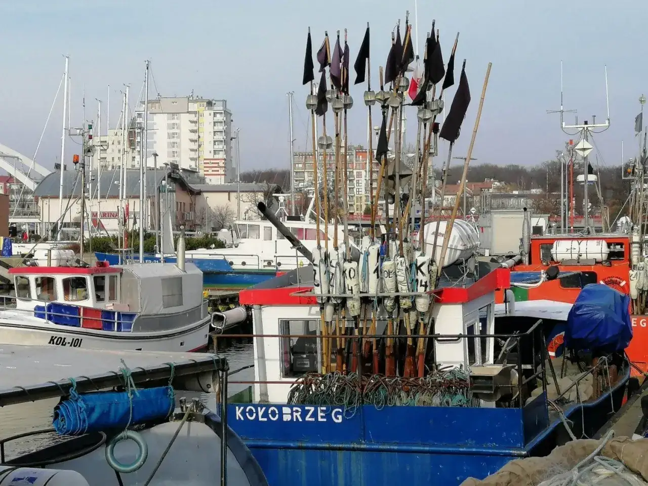 Świeża ryba w Kołobrzegu: Gdzie kupić i jak rozpoznać?