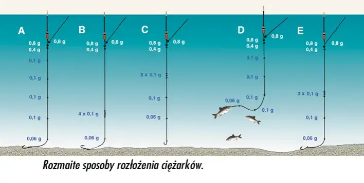 Na jakiej głębokości łowić płocie, aby uniknąć nieudanych połowów?