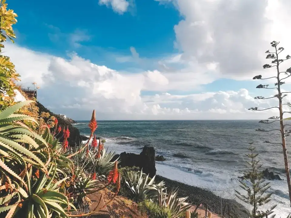 Czy na Maderę trzeba paszport? Sprawdź, co musisz wiedzieć