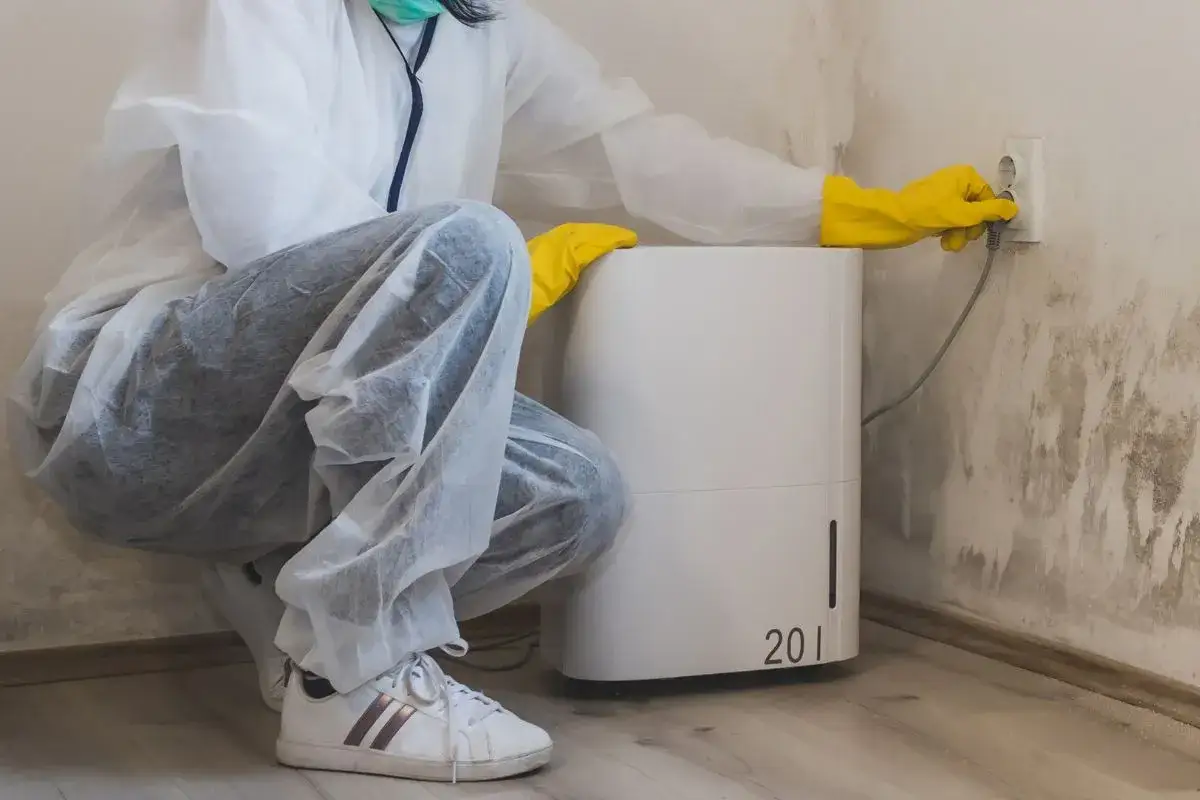 Zalewa mieszkanie? Dowiedz się, gdzie dzwonić po pomoc natychmiastową