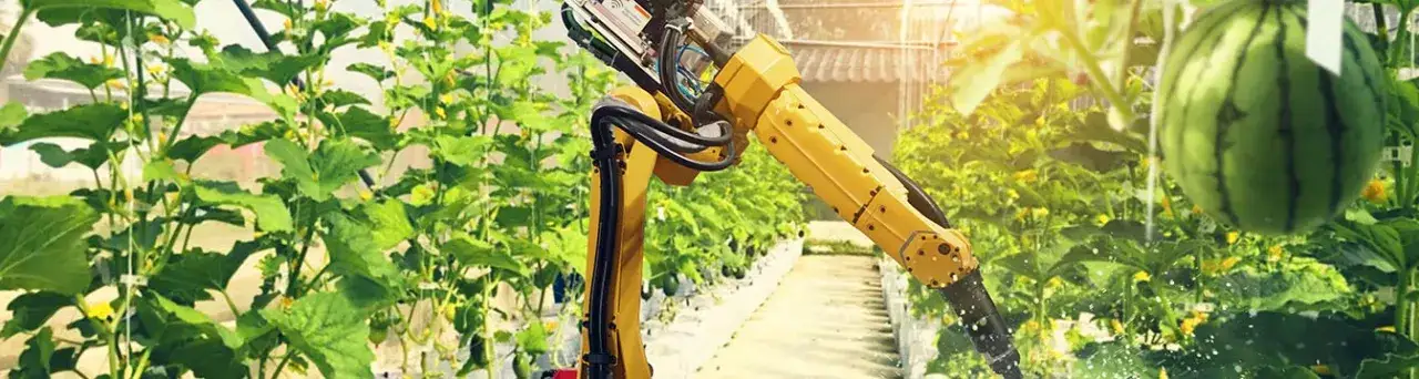 Sztuczna inteligencja jak zacząć – proste kroki dla początkujących