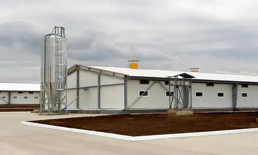 Ile kosztuje budowa chlewni? Szczegółowy przegląd kosztów i materiałów