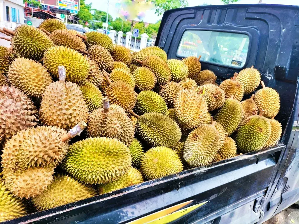Gdzie kupić duriana w Polsce? Top 5 miejsc z egzotycznymi owocami