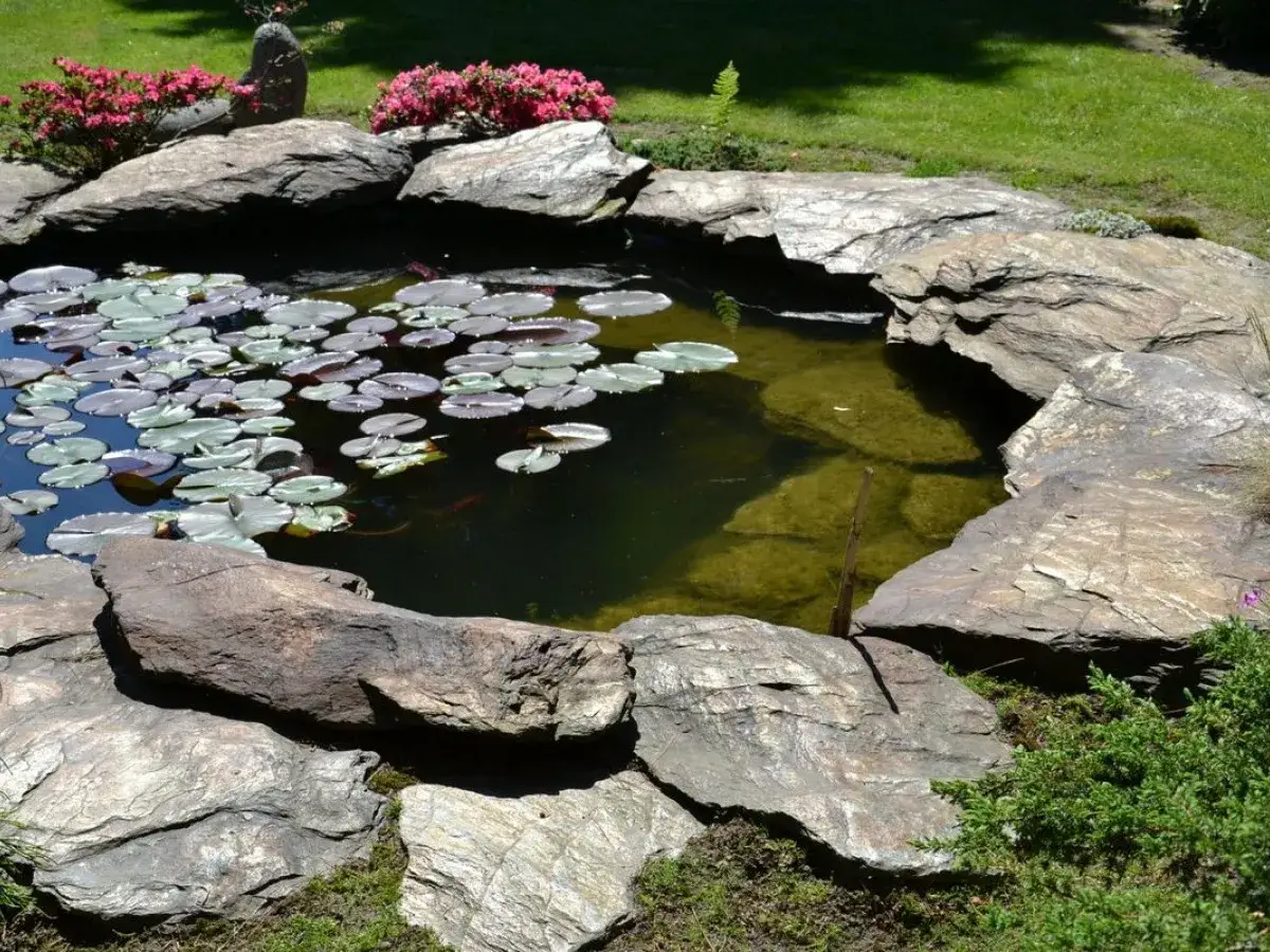 Kamieniste oczka wodne inspiracje: skalne obrzeża, lilie wodne i rybki w zielonej toni.