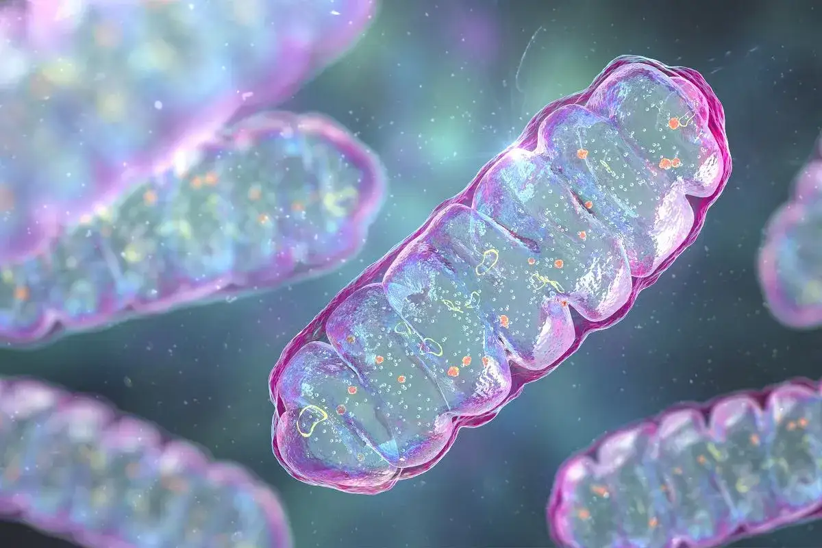 Rak to setki chorób: Dlaczego nie ma jednego leku?