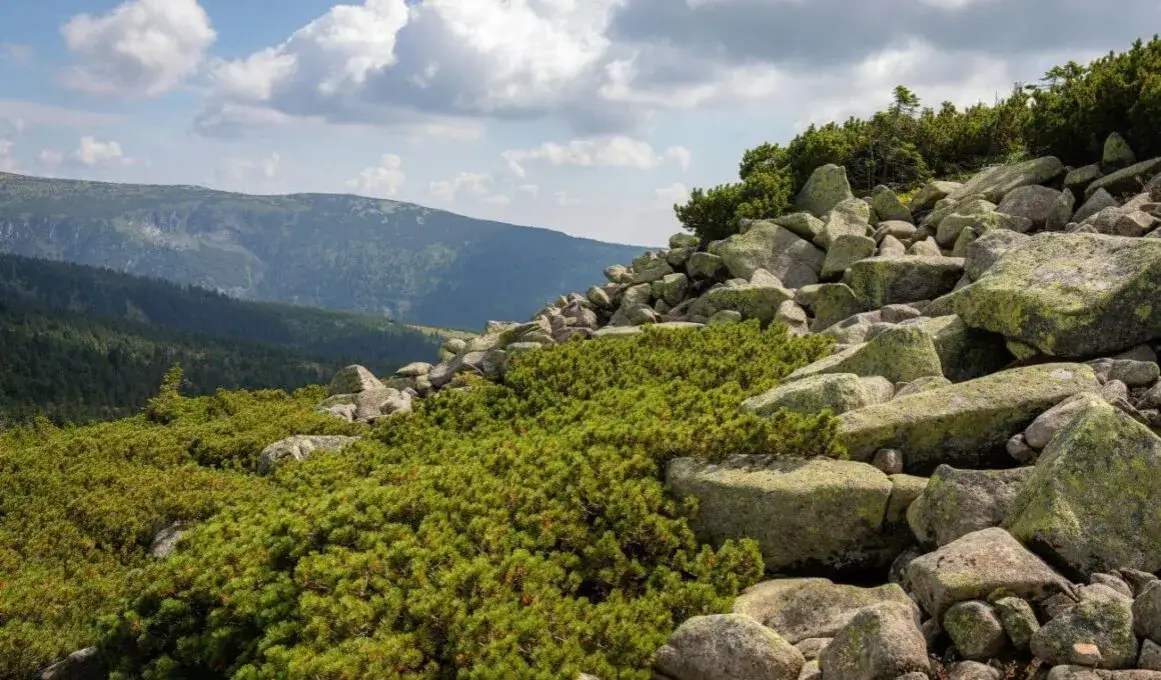 Karkonosze – jakie formy rzeźby terenu skrywają te góry?
