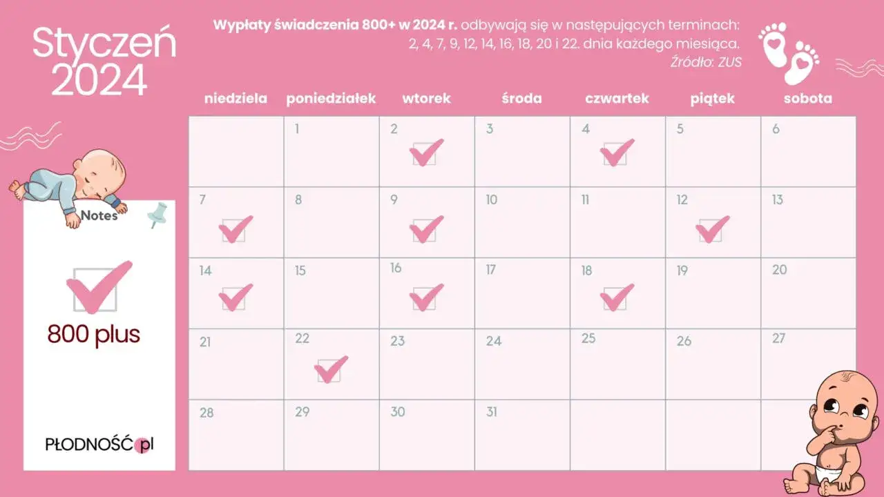 800 plus kiedy wypłata? Sprawdź daty i harmonogram ZUS!