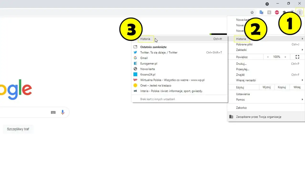 Jak przywrócić historię przeglądarki? Odzyskaj dane krok po kroku!