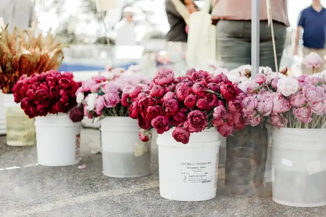 Dzień Kobiet: Jakie kwiaty wybrać? Klasyka, trendy, symbolika