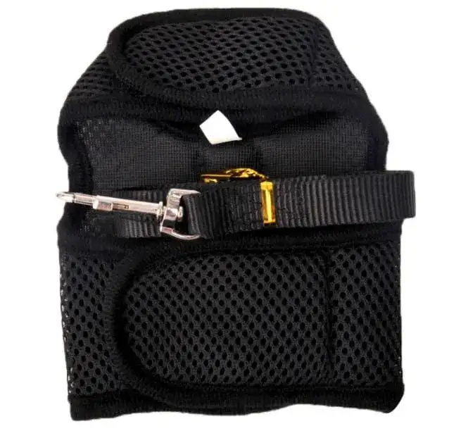 Czy szelki dla królika są dobre? Poznaj ważne zasady bezpieczeństwa