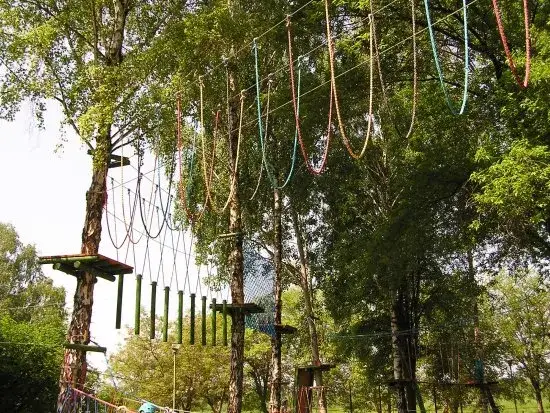 Park linowy Kazimierz Dolny - emocjonujące trasy i niezapomniane wrażenia