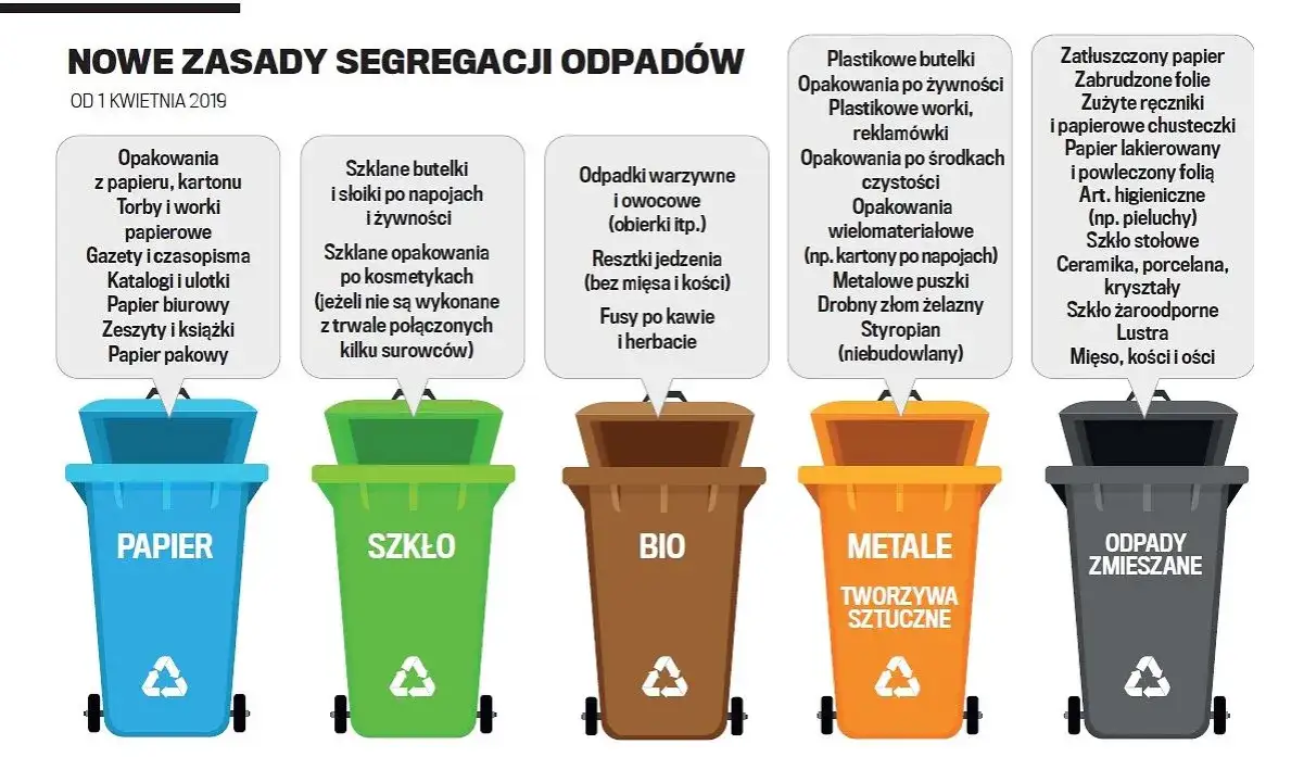 Jak segregować śmieci w Krakowie i uniknąć najczęstszych błędów