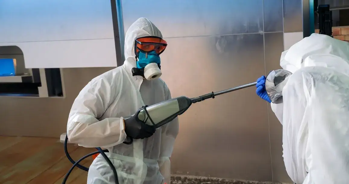 Dezynfekcja: Kto profesjonalnie odkaża i jak wybrać firmę DDD?