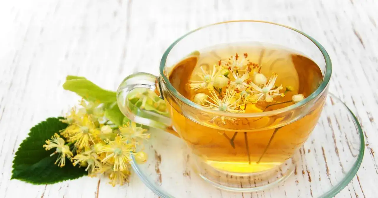 Herbata z lipy: Zbiór, parzenie, właściwości. Twój zdrowy rytuał