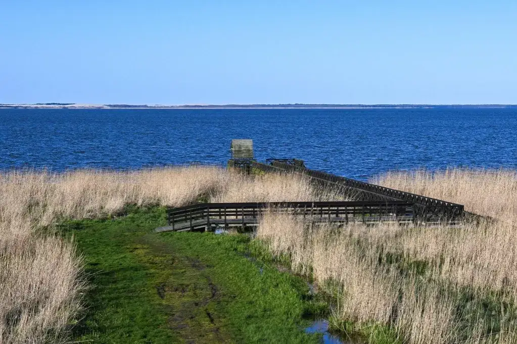 Jezioro Łebsko: największe duże jezioro nadbałtyckie i jego tajemnice
