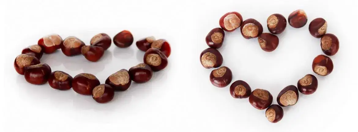 Jak zrobić naszyjnik z kasztanów - proste i kreatywne pomysły na biżuterię