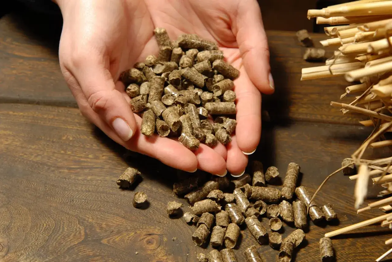 Dłonie trzymające garść pelletu ze słomy na drewnianym tle.