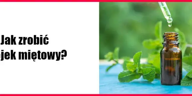 Jak zrobić olejek miętowy w domu – proste kroki i cenne wskazówki