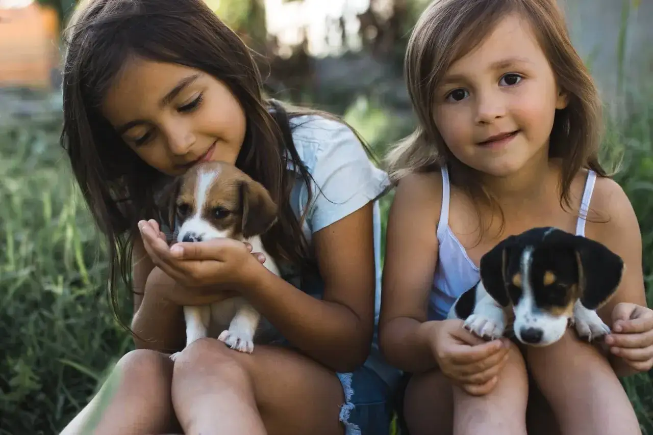 Jaki to pies? Atlas dla dzieci - poznaj rasy psów, które zachwycą