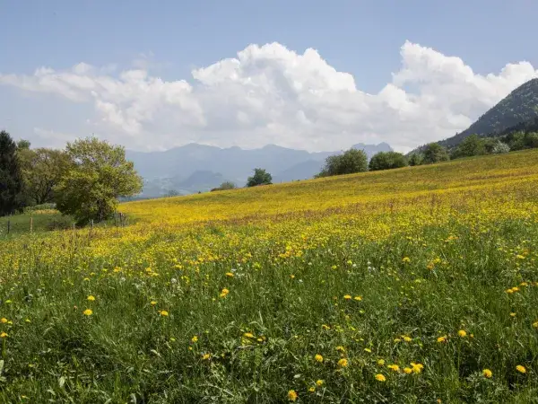 Jutro w Ustroniu: pogoda, co robić? Plan na słońce i deszcz