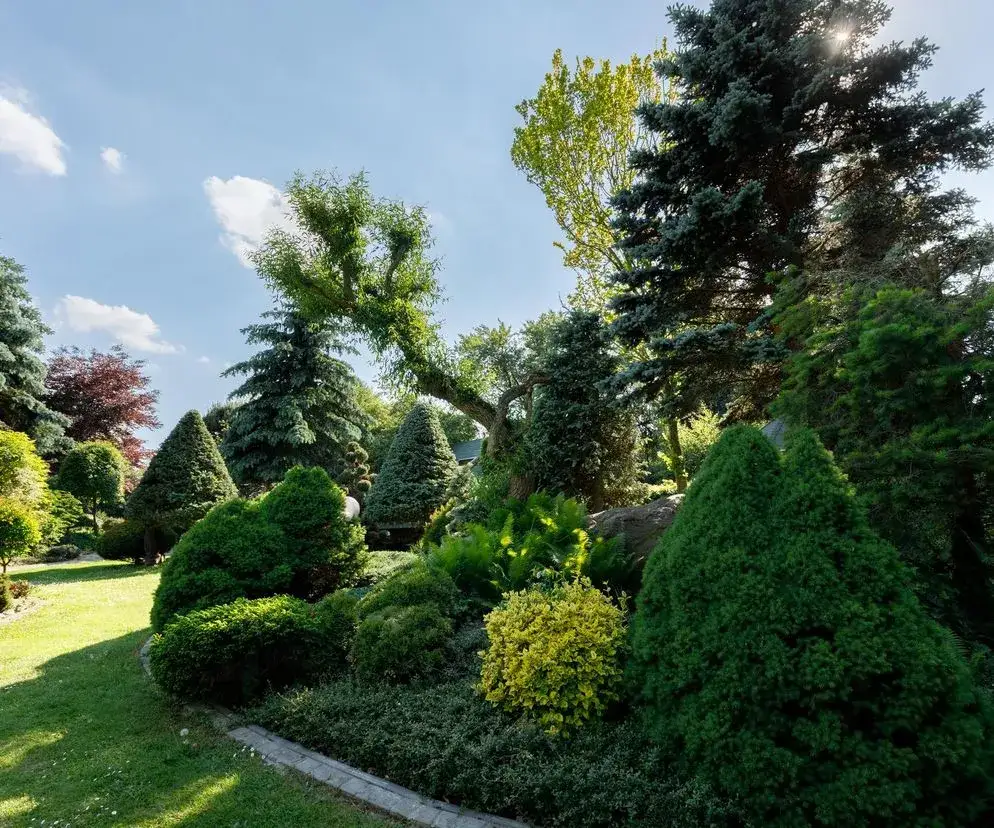 Jak zaprojektować ogród? Przewodnik krok po kroku do wymarzonej przestrzeni