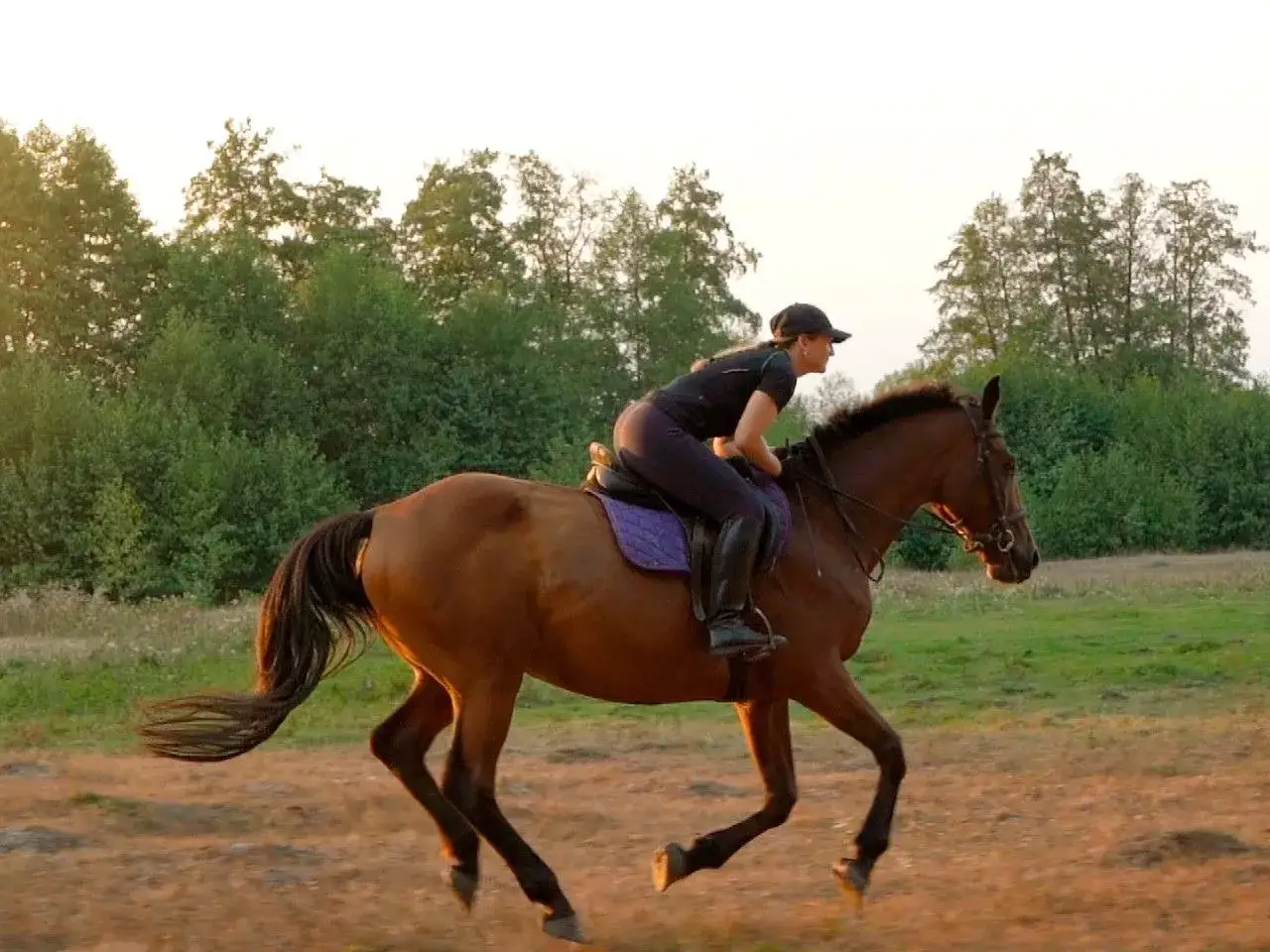 Jazda konna podczas okresu? Bezpieczeństwo i komfort w siodle