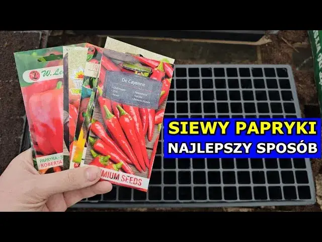 Sezon na paprykę kiedy? Poznaj najlepszy czas na świeżą paprykę