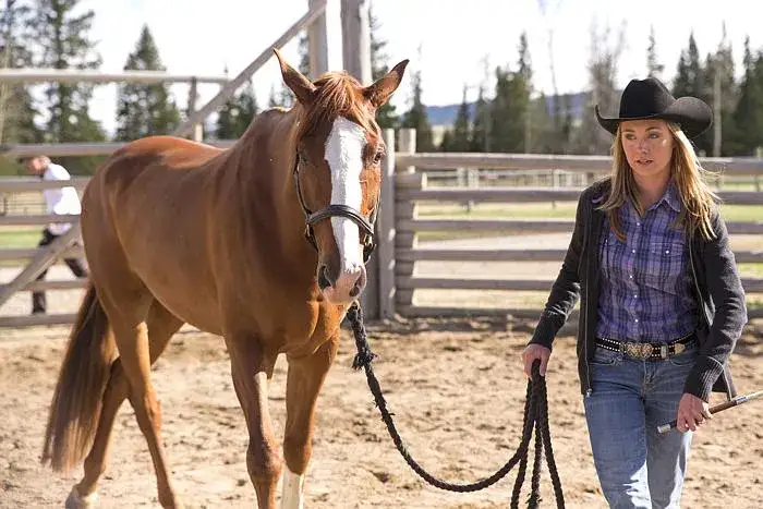 Gdzie obejrzeć zaklinacze koni? Sprawdź najlepsze opcje!