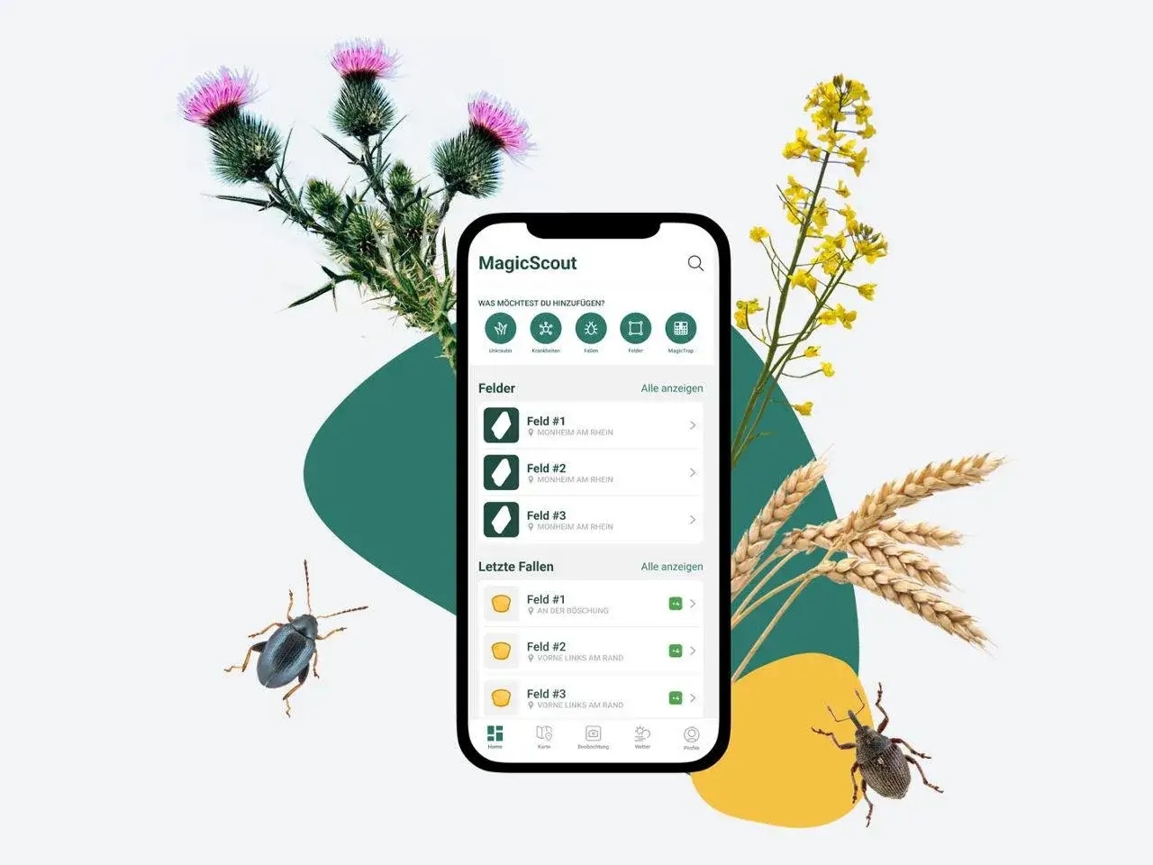 Świrzepa pospolita: Skuteczna walka i zaskakujące zastosowania