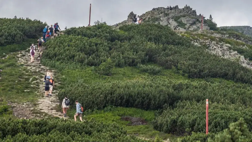 Najładniejszy szlak na Babią Górę - odkryj niepowtarzalne widoki