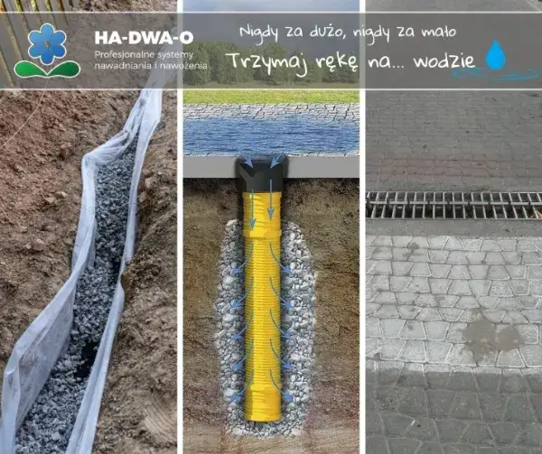 Jak zrobić odwodnienie działki - skuteczne metody na problemy z wodą