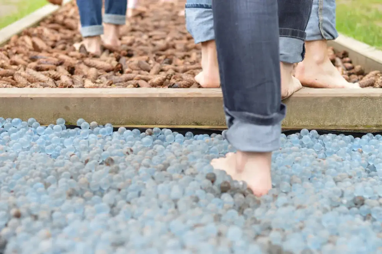 Stopy dzieci na ścieżce sensorycznej z szyszek i niebieskich kulek.
