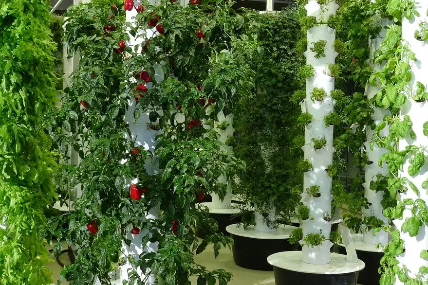 Jak zrobić kwietnik z rury PCV - łatwy sposób na piękne rośliny