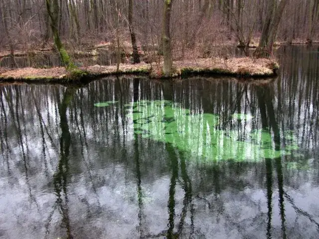 Rezerwaty przyrody w Polsce - odkryj ich niezwykłe piękno i różnorodność