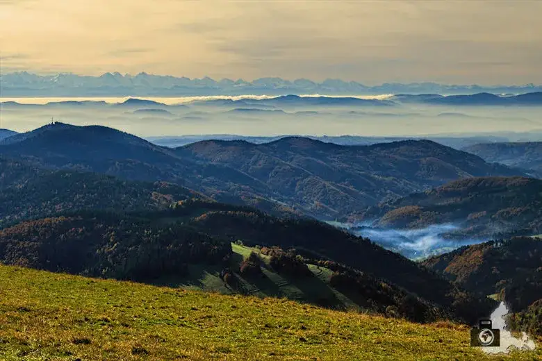 Die höchsten Gipfel im Schwarzwald: Tipps für Ihre Tour