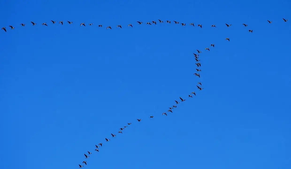Tekst piosenki czekam na wiatr co rozgoni - analiza i znaczenie utworu