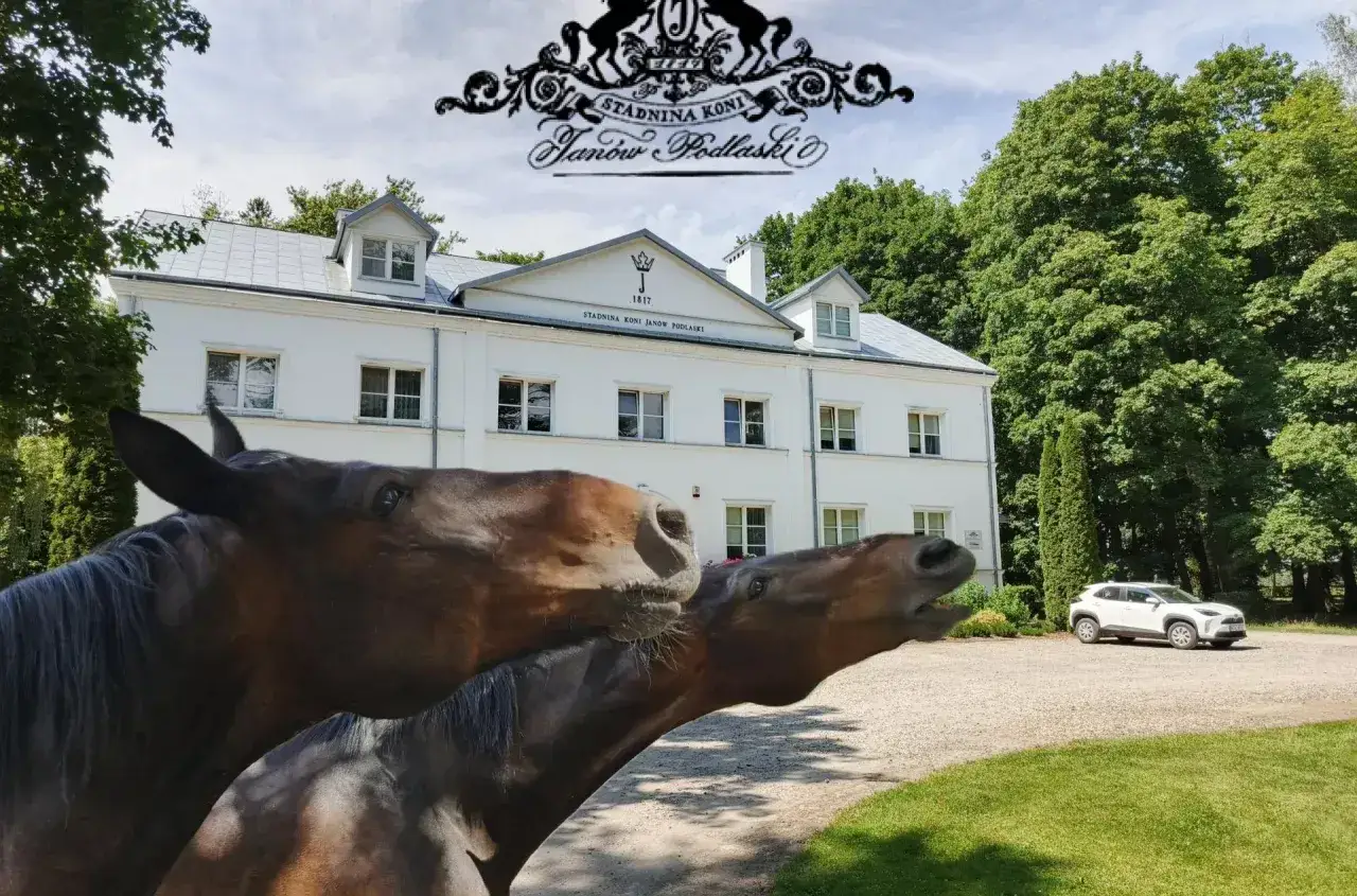 Janów Podlaski: Godziny, Cennik, Zwiedzanie. Wszystko, co musisz wiedzieć.