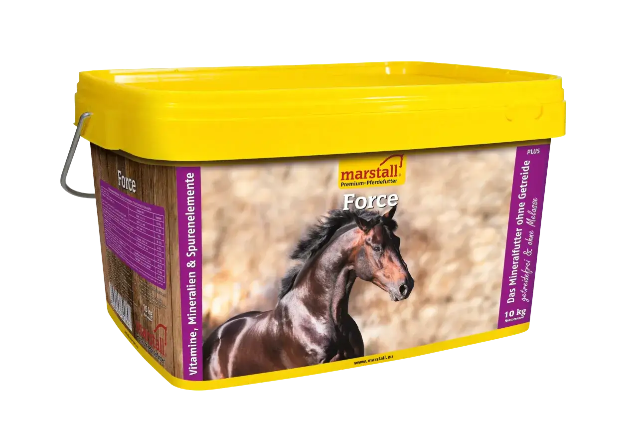 Suplementy dla koni dla ludzi? Prawda o ryzyku i obalanych mitach