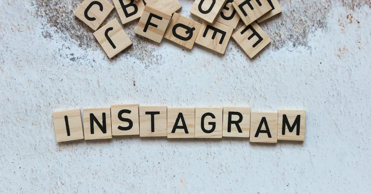 Wiaty jednospadowe - Projekty gotowe do realizacji | Cena już od 3500 zł