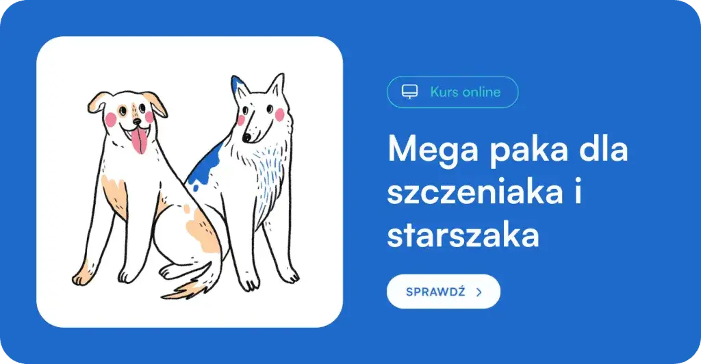 Szczeniak na dworze? Sprawdź, kiedy jest gotowy i jak go przygotować!