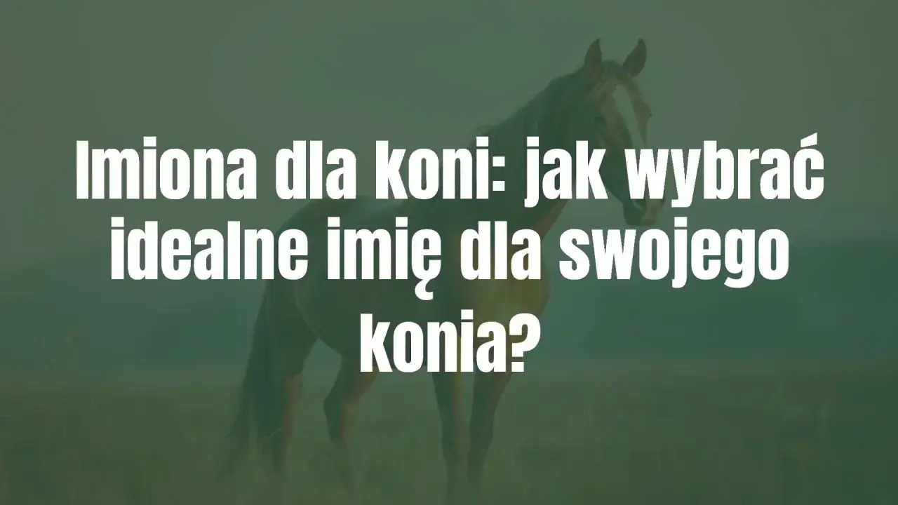 Jak nazwać konia? Znajdź idealne imię i poznaj zasady!