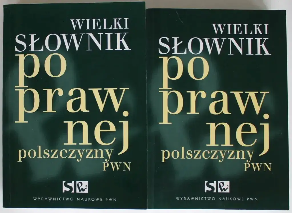 Nowy Słownik Poprawnej Polszczyzny PWN: Czy to biblia dla Ciebie?