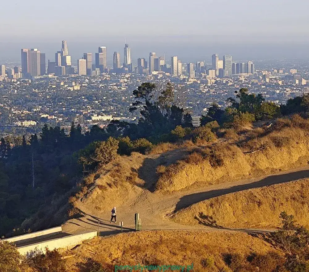 Los Angeles: Gdzie leży i dlaczego warto odwiedzić Miasto Aniołów?