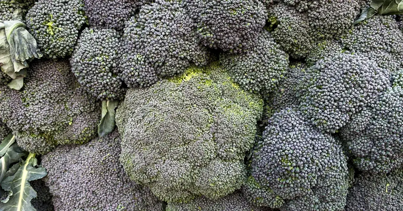 Jak obniżyć podwyższony poziom kwasu moczowego dietą: 8 skutecznych porad