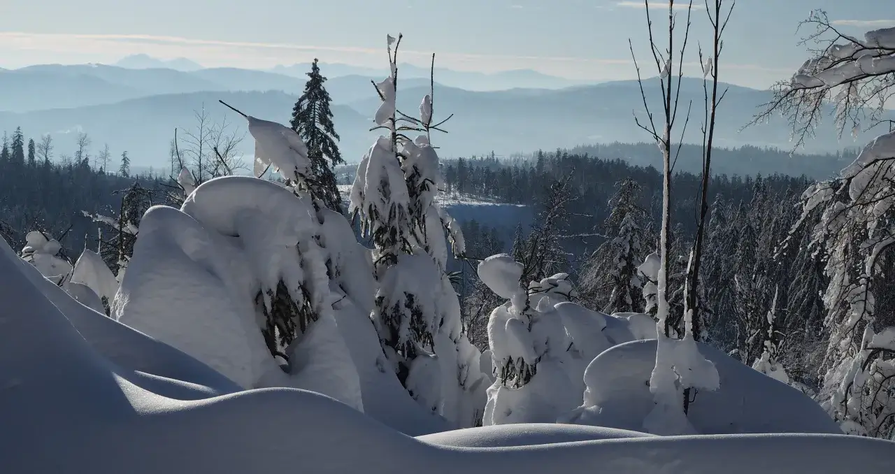 Barania Góra zimą: Gdzie na zimowe wędrówki?
